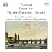 Search : Concerto for Trumpet and Orchestra: Allegro