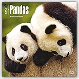 Pandas 2016 Square 12x12 (Multilingual Edition)