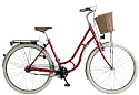 Technium Cityrad Saphire Lady (2010)