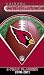 Arizona Cardinals - Planner 2010 Planner Calendar