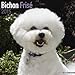 Bichon Frise Calendar - Breed Specific Bichon Frise Calendar - 2015 Wall calendars - Dog Calendars - Monthly Wall Calendar by Avonside