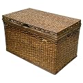 Brown Rectangular Trunk