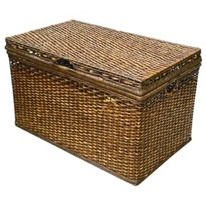 Buy Brown Rectangular Trunk now!