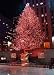 Christmas Tree Lighting at Rockefeller Center - 24H x 17W - Peel and Stick Wall Decal by Wallmonkeys
