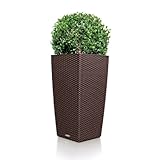 IMAGE OF Self-Watering Wicker Planter