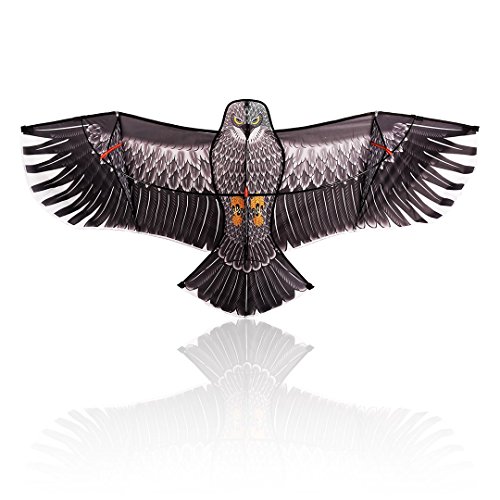 Flying Eagle Kite Kit by LIVERTOL High Quality, Strongest Bird-Shaped Flying Kite for Kids and Adults ~ 5 Foot Wingspan of Flying Eagle ~ Easy to Assemble, Fly, & Store with Carrying Case