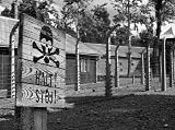 Auschwitz Birkenau - 18W x 13H - Peel and Stick Wall Decal by Wallmonkeys