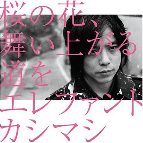 桜の花、舞い上がる道を(初回盤B)(DVD付)