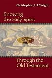 Salvation belongs to our God : celebrating the Bible's central story