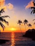 IDEALDECOR WALL MURALS & DOORPOSTERS Wallpaper -366 Wallpaper