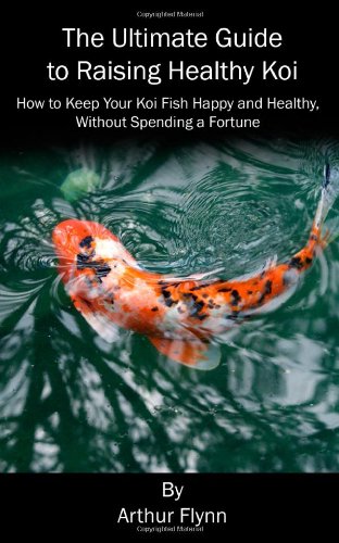 koi fish
