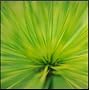 Your Garden - The Key To Successful Gardening