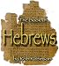 The Entire Book of Hebrews Commentary on ONE 20 Hour Mp3 Audio Cd (The New Testament Commentary Series by Rob Robinson, Volume 19)