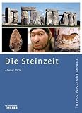 Die Steinzeit - Almut Bick
