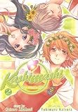 Kashimashi: Volume 2 [KASHIMASHI V02 -OS]