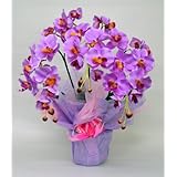 ���i�̏ڍ�