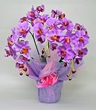 ���ŃL���C�ȋ�C�����I���G�} �Ӓ��� 3�{���� (�s���N)