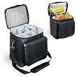 Cellar 6-Bottle Insulated Wine Tote w/ Interchangeable Liner - Platinum (Black/Silver)
