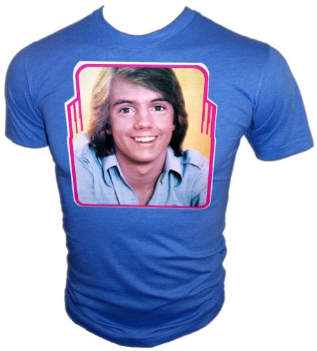 Vintage Super Hardy Boys Shaun Cassidy 1976 RARE T-Shirt