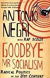 Goodbye Mr Socialism : radical politics in the 21st century
