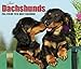 2016 Just Dachshunds Box Calendar