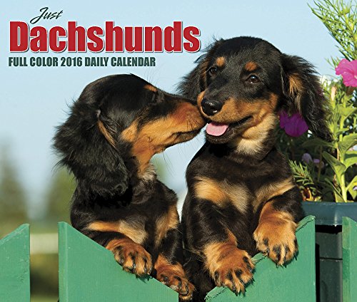 2016 Just Dachshunds  Box Calendar