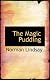 The Magic Pudding