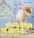 Slum Dogs of India
