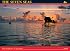 Seven Seas 2008: The Sailor's Calendar