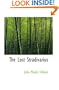 The Lost Stradivarius