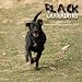 labrador5  - Black Labradors 2009 Wall Calendar