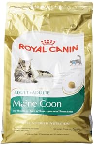 Royal Canin Maine Coon Dry Cat Food, 6- Pound Bag Royal Canin Maine Coon Dry Cat Food, 6- Pound Bag