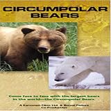 Circumpolar Bears