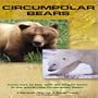 Circumpolar Bears