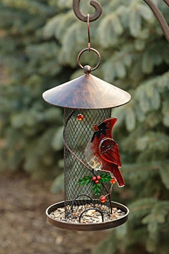 Your Hearts Delight Glass Cardinal on Screen Bird Feeder, 5-3/4 by 11-Inch