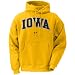 Nike Iowa Hawkeyes Gold Classic College Hoody Sweatshirt
