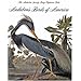 Audubon's Birds of America: The Audubon Society Baby Elephant Folio