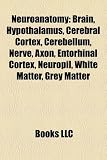 Neuroanatomy: Brain, Hypothalamus, Cerebral Cortex, Cerebellum, Nerve, Axon, Entorhinal Cortex, Neuropil, White Matter, Grey Matter