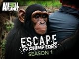 play video on Amazon Instant Video