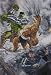 World War Hulk - Front Line #2 : Embedded Behind Enemy Lines (Marvel Comics)