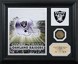 Oakland Raiders Team Pride Photo Mint