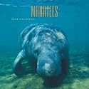 Manatees 2009 Square Wall Calendar