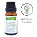 Spearmint Essential Oil by Simply Earth - 15 ml, 100% Pure Therapeutic Grade