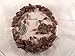 Dubia Roaches 1000 Small