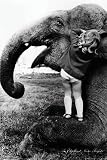 John Drysdale (An Elephant Never Forgets) Art Poster Print - 11