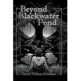 Beyond Blackwater Pond
