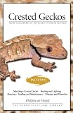 Crested Geckos: From the Experts at Advanced Vivarium Systems