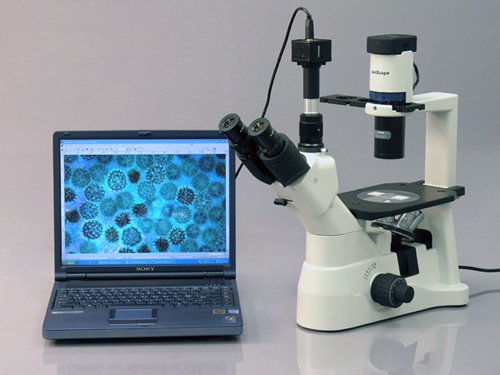 40X-900X Phase Contrast Inverted Tissue with 8M Camera