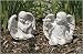 Outdoor Living : Set of 2 Joseph's Studio Angels With Rabbit & Bird Garden Statues 7"