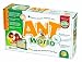 Ant
World